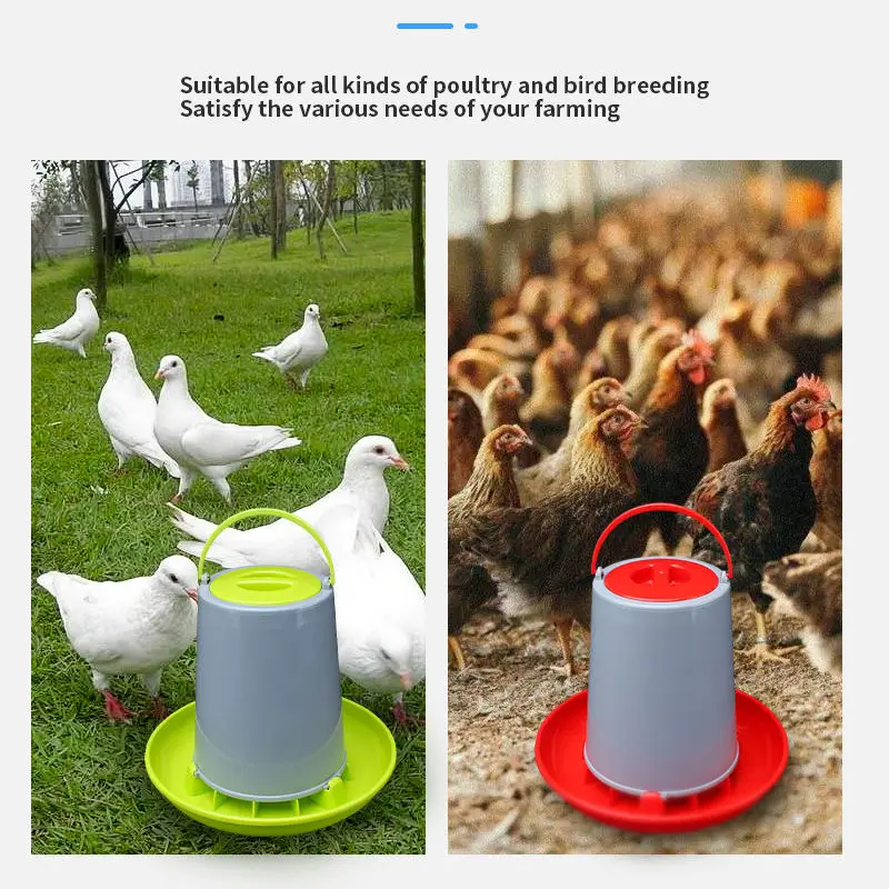 Drinking bottle supplies Homing pigeon parrot food box trough bird feeder pigeon automatic water feeder