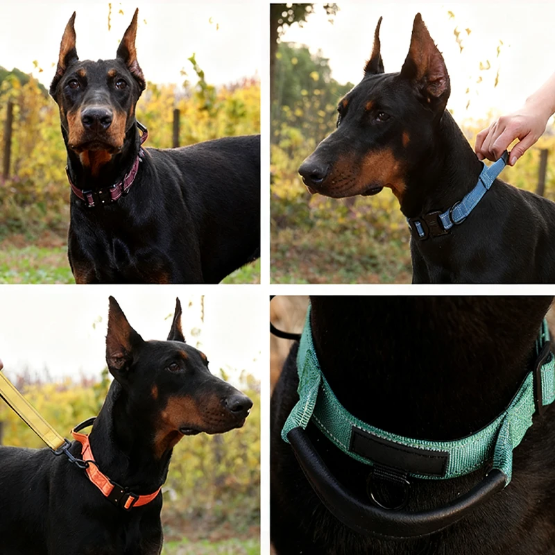 Collar táctico con correa para perro – Reflectante y acolchado - imagen 4