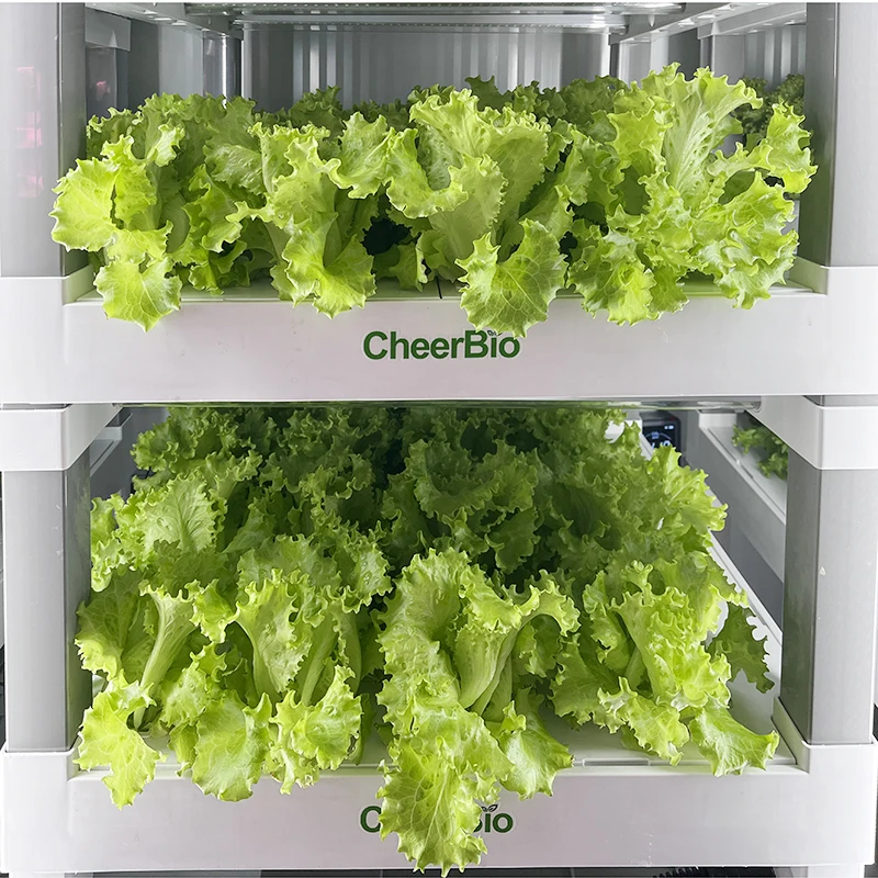 

Skyplant Автоматическое сельское хозяйство Крытая светодиодная интеллектуальная гидропонная высококачественная система посадки с приложением