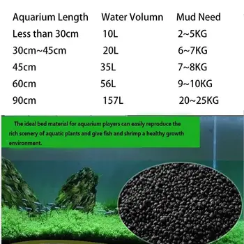 12 最佳銷售 水族箱種子 - №9