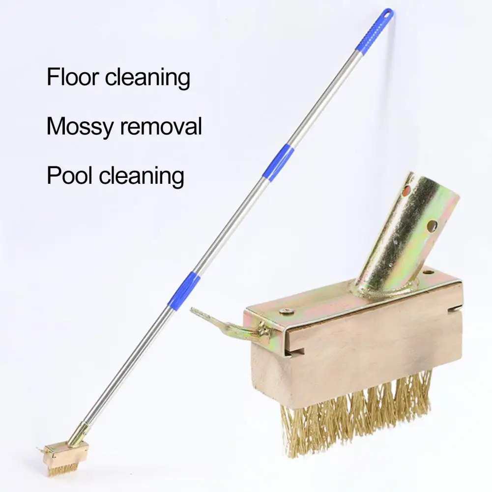 Joint Edge Cleaner Brass Wire Bristle Crevice Weeding Brush Head for Block Paving Patio Stone Edging 2-in-1 Weed Moss for Grout