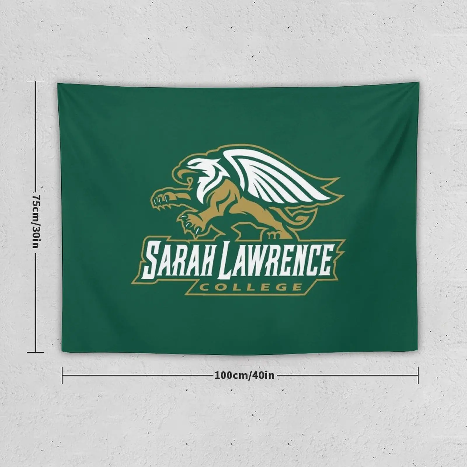 Sarah Lawrence College Tapestry Decorative Wall Mural Carpet On The Wall Tapete For The Wall Tapestry