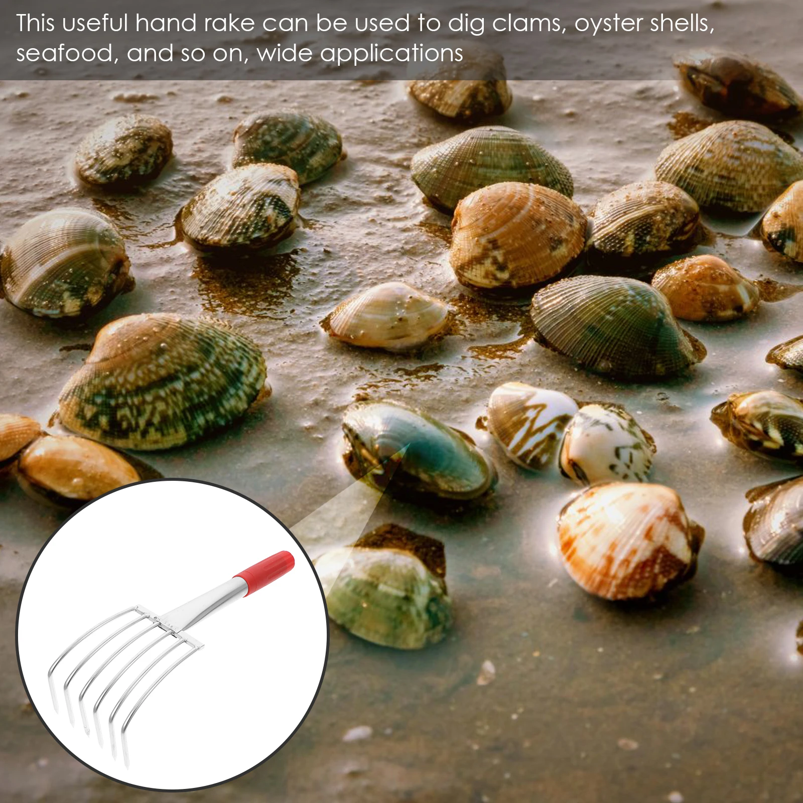 أداة شاطئ خفيفة الوزن من الفولاذ المقاوم للصدأ، أداة شاطئ خفيفة الوزن، أداة حفر المأكولات البحرية، أداة الشاطئ الأساسية