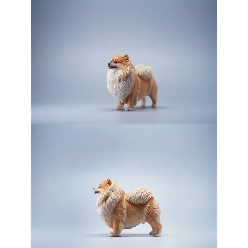 Pomeranian จําลอง JXK 12 นิ้วสุนัขรุ่นประณีตและกะทัดรัดสัตว์เลี้ยงสุนัขรุ่น Figurie พร้อมตุ๊กตาสี่สี