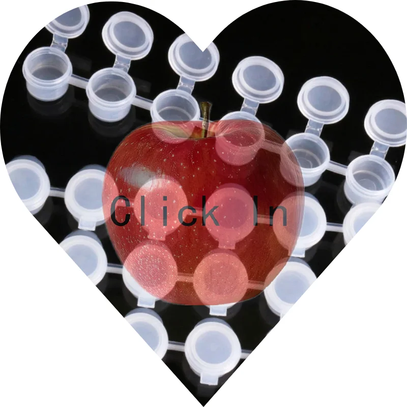 

Набор из 5 контейнеров для пигментов: акриловые краски для рисования, художественные принадлежности для обучения