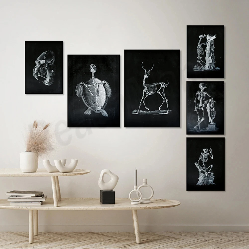 Animal anatomy, monkey, bear, tiger, ostrich, deer deer skull, turtle, boy skeleton and horse skull skeleton art ethereal poster
