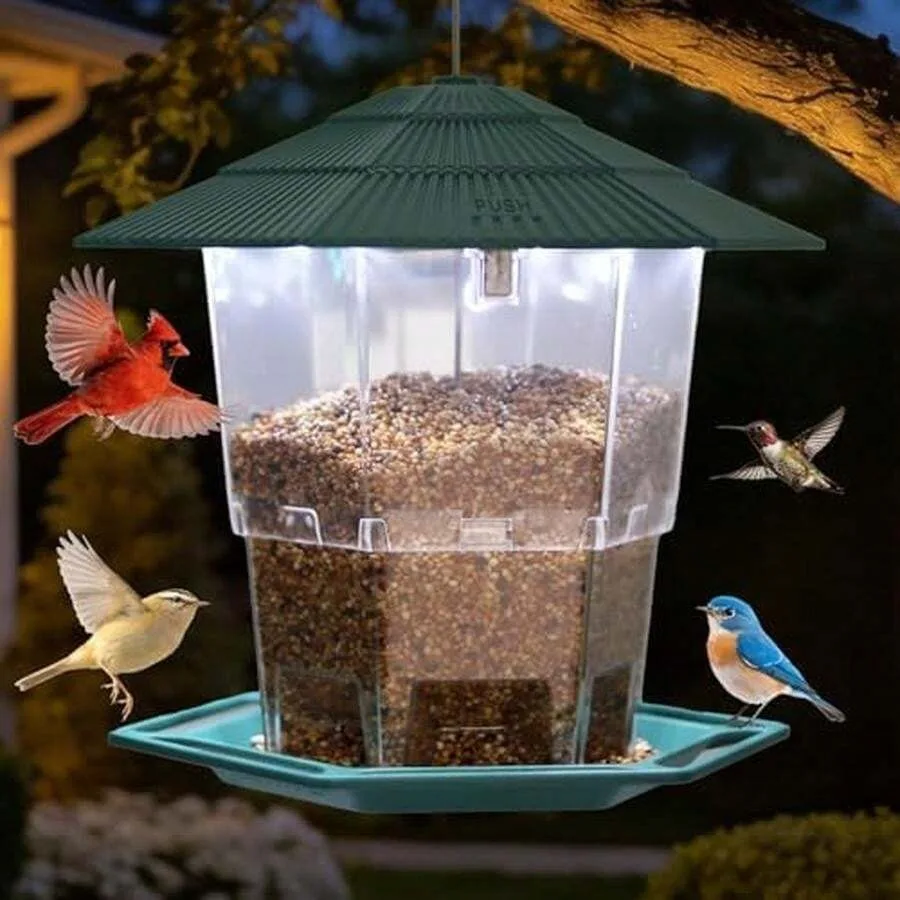 

Bird Feeder For Outdoors Hanging, Black Hanging Wild Bird Feeders With S Hook For Blue Bird, Cardinals, Finches, Wild Birds See