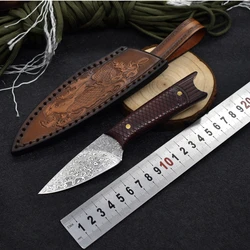 Damascus Steel Fixed Blade Knife Survival Wood Handle Outdoor Camping Tactical Straight Hunting Knives Hand Tool With Case