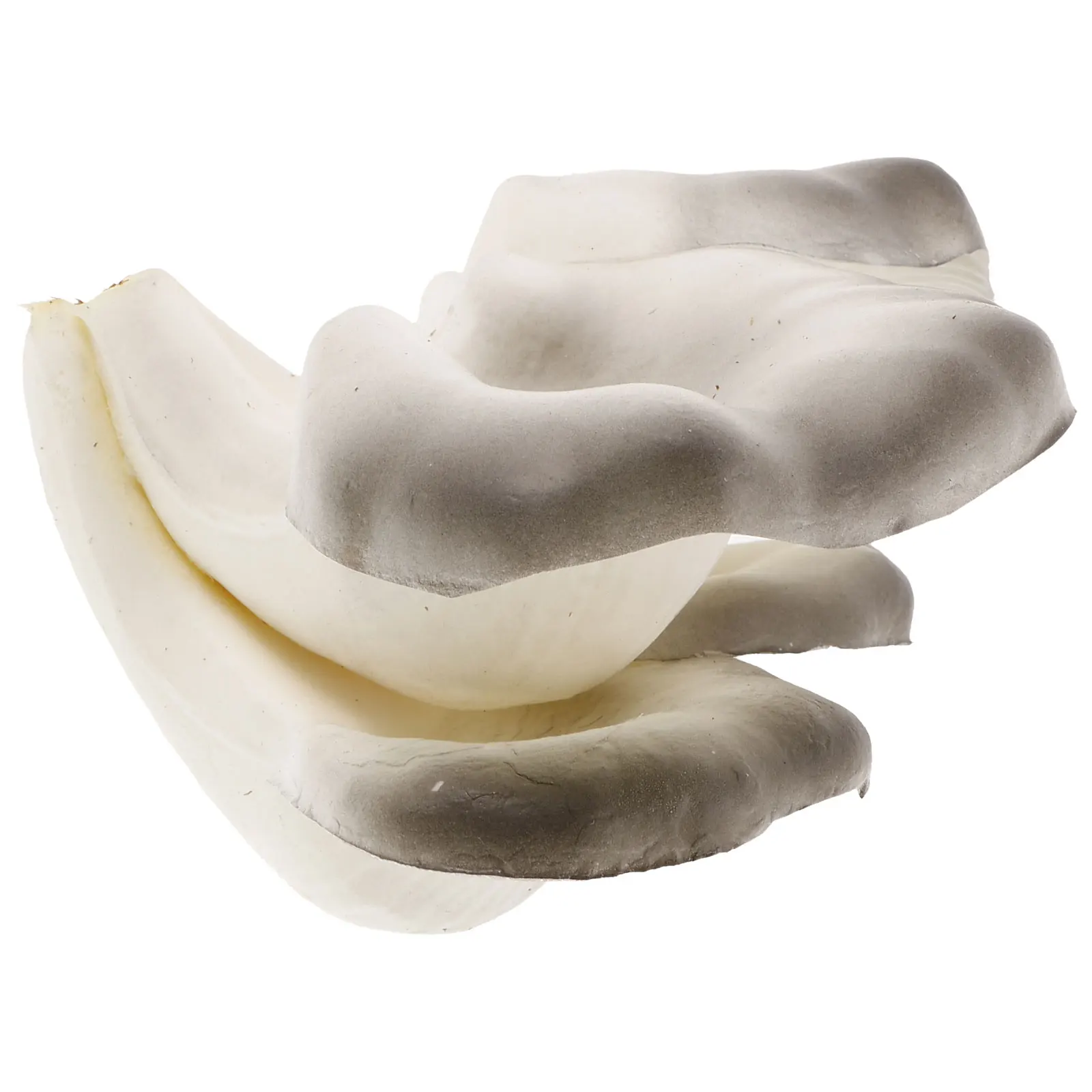 

Simulated Oyster Mushrooms Garden Red Decor Air Ornaments Eva Mini Figures Decoration