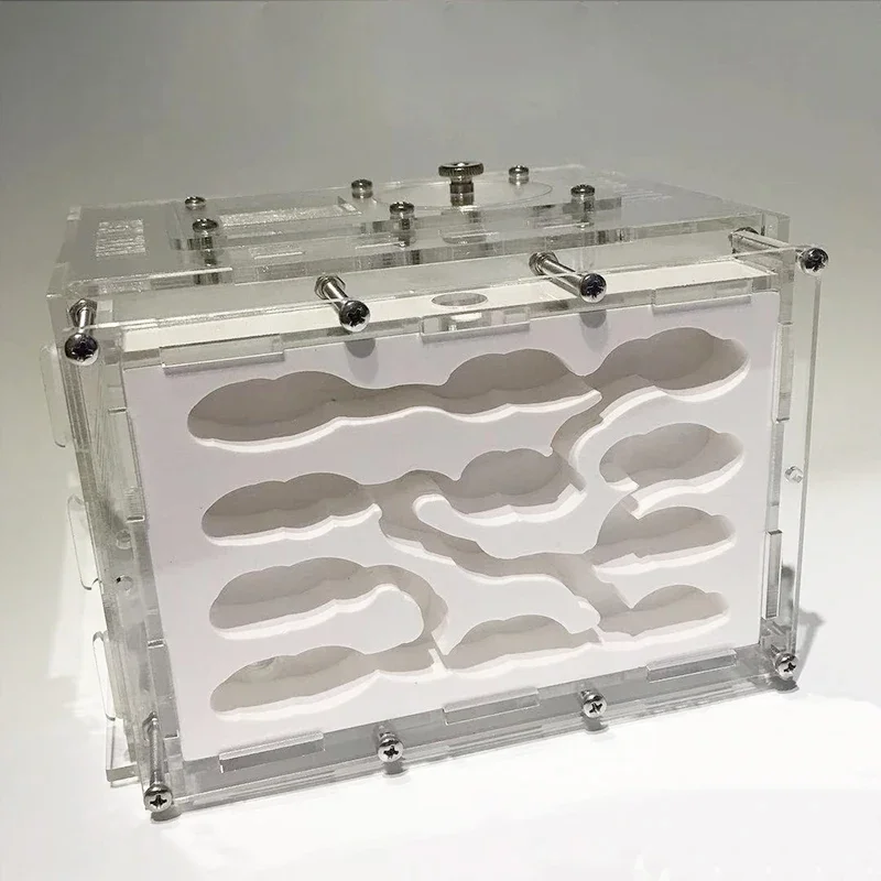 DIY Gypsum Ant Farm Nest with Feeding Area Moisturize Ecological Plaster Ant House Workshop for Pet Ant Hill