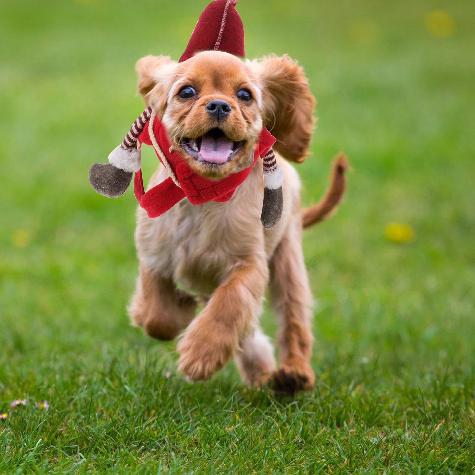 

Christmas Dog Costume Warm Pet Garment H made Cotton Saddle Shaped Cosplay Puppy Riding Suit Santa Gnome Dog Clothes Pet