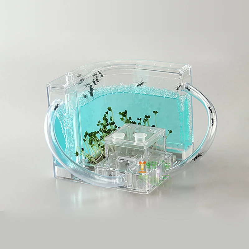 Ants Villa House Farm Acrylic Insect Test Tube Moisture Big Space Ant Nest Ants Ecological Workshop 6 Colors