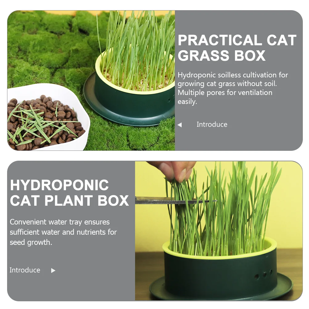 Cat Grass Grower Soilless Hydroponic Cat Grass Seed Box Set Catnip Plant Pot for Pet Creative Planter Nursery Indoor Pots