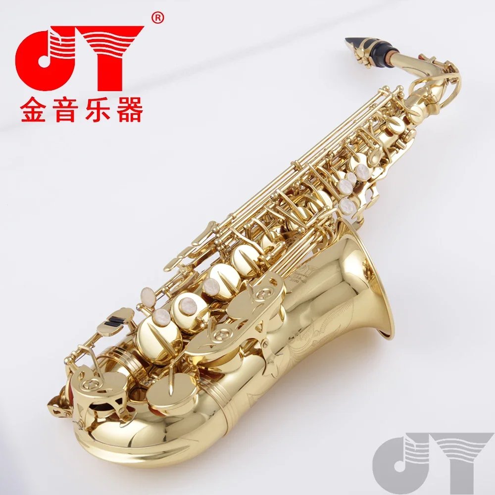 Professional level woodwind instrument alto saxophone