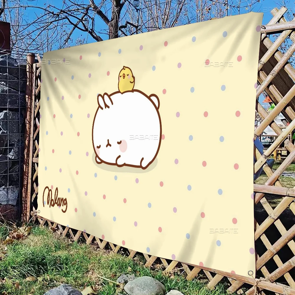 Molang Entrance Doormats Advanced Printing Commercial Advertising Flag Company Party Banner