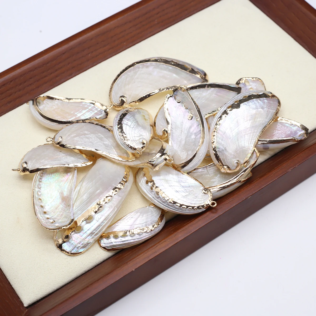 

10pcs Irregularly Shaped Natural Freshwater Shell Charms for Jewelry Making Supplies DIY Necklace Earrings Accessories Wholesale