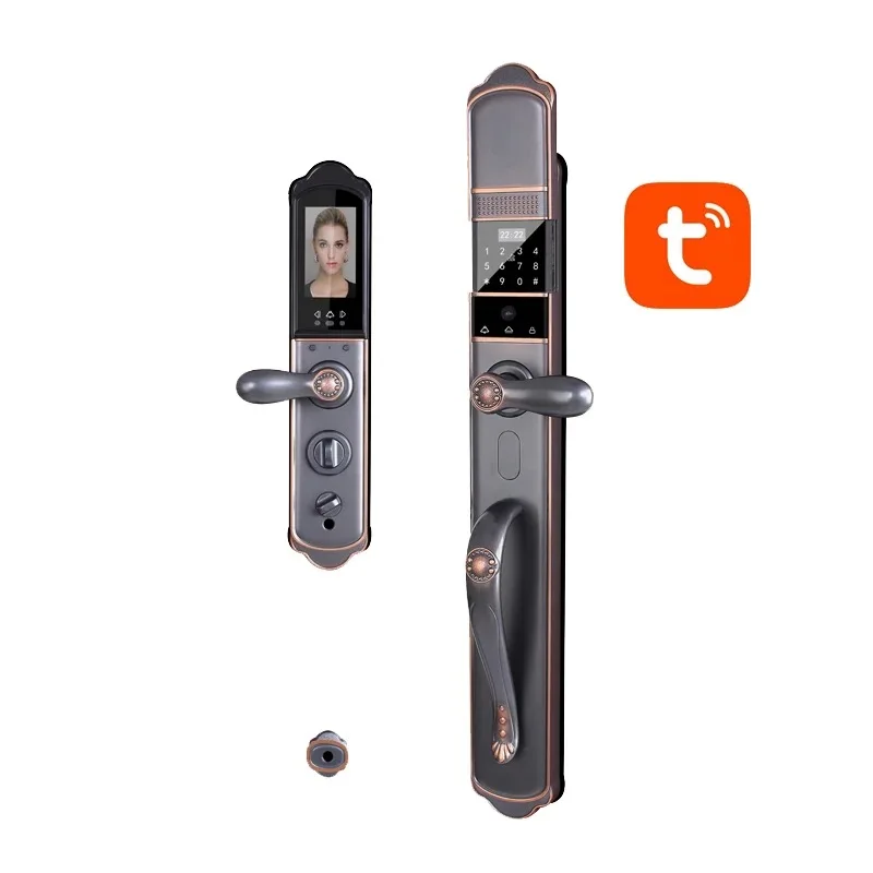 Intelligent Tuya Wifi App remote control Fingerprint Smart Lock for Anti theft luxury villa 6068 Mortise main camera Door Lock