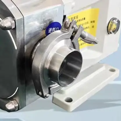 

Гигиенический ротор премиум-класса высокой вязкости 2025 года, лопастная головка насоса, сахарный сироп, насосы для перекачки жидкости, роторная шестерня с положительным смещением