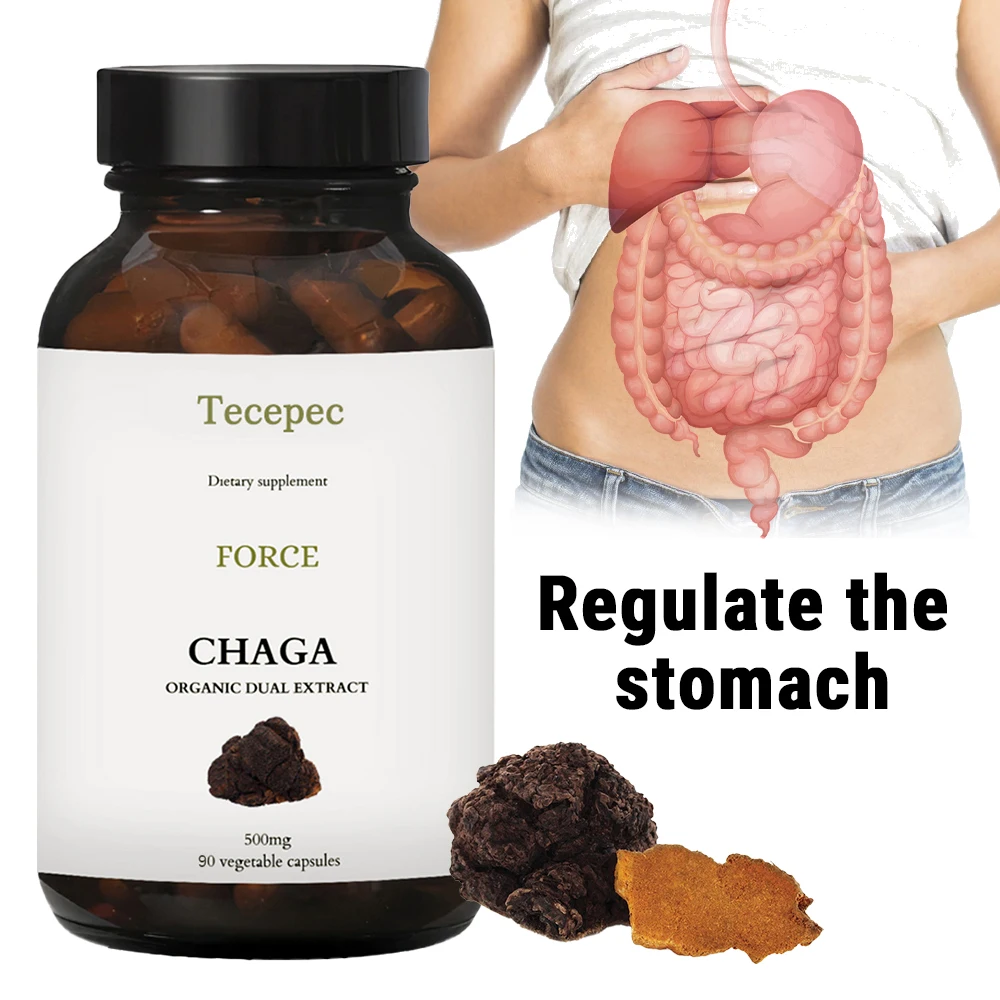 

Chaga Mushroom Capsules – Organic Chaga Extract for Wellness & Energy , Digestive Health Support– Vegan, Non-GMO, 60 Capsules
