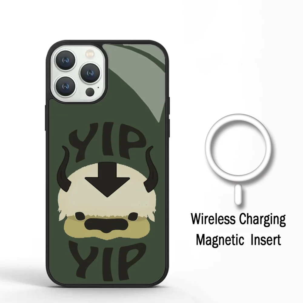 Avatar Appa Yip Yip Phone Case For IPhone 11 12 13 14 15 Plus Pro Max Mirror Acrylic Cover For Magsafe