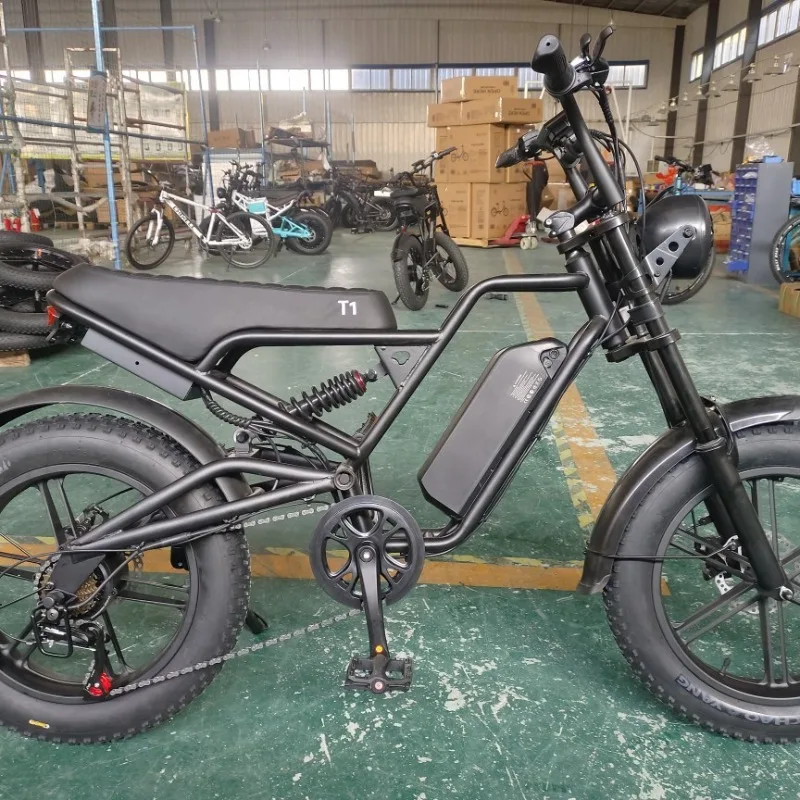 20 inch snow electric power beach mountain off-road electric bicycle