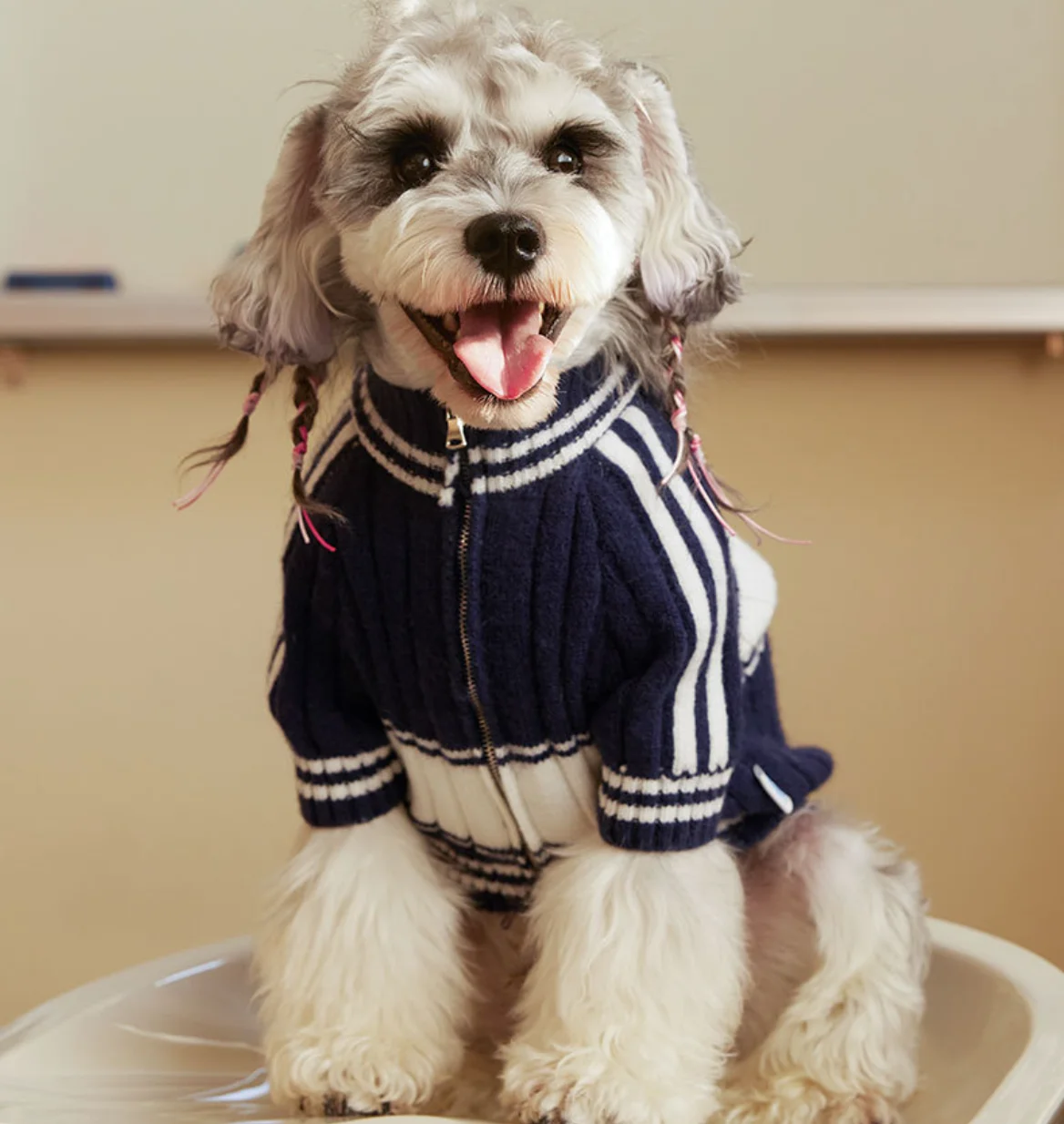 

Dog Clothes Chihuahua Pet Striped Cardigan Sweater Bichon Frise Puppy Kitten Dog Warm Coat Cat Dog Accessories Pet Outfit