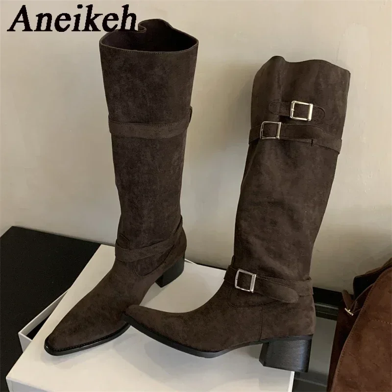

Aneikeh/панк, дизайн с пряжкой на ремне, женские сапоги до колена с острым носком, праздничное платье, длинные ботильоны, обувь на массивном низком каблуке, Zapatos De Muje