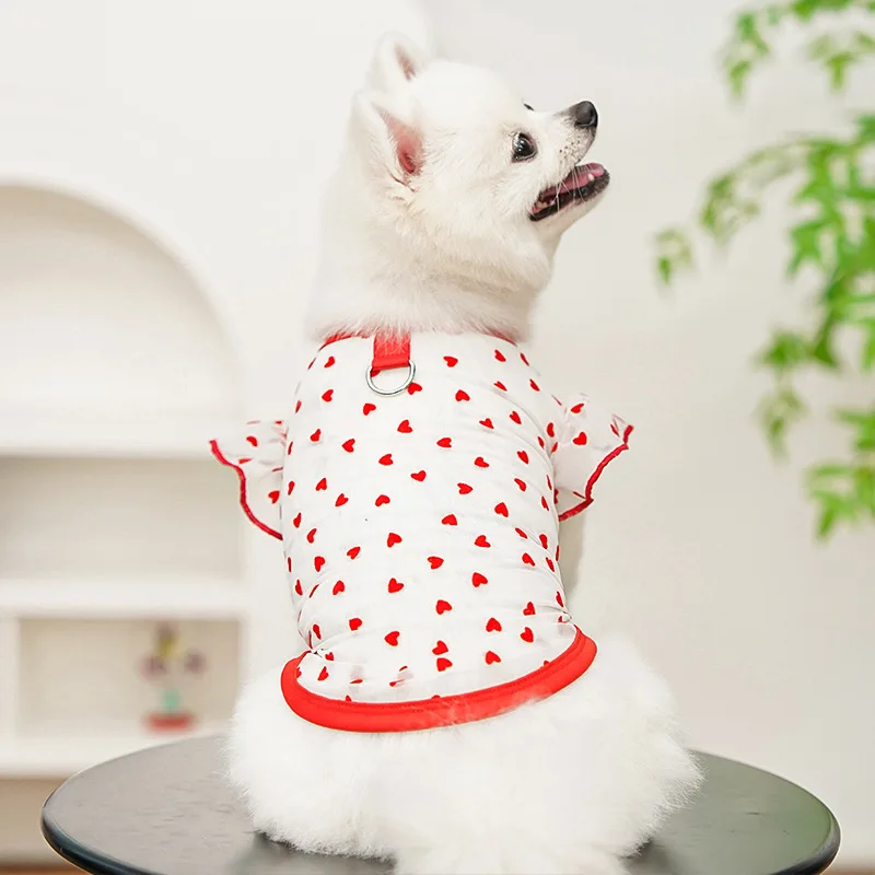 Fotografia 5: Roupas para Cães e Gatos de Verão, Camisetas com Capuz Transparente com Estampa de Coração Branco e Preto para Cães Pequenos, Chihuahua, York, Camiseta com Manga Voadora para Cães