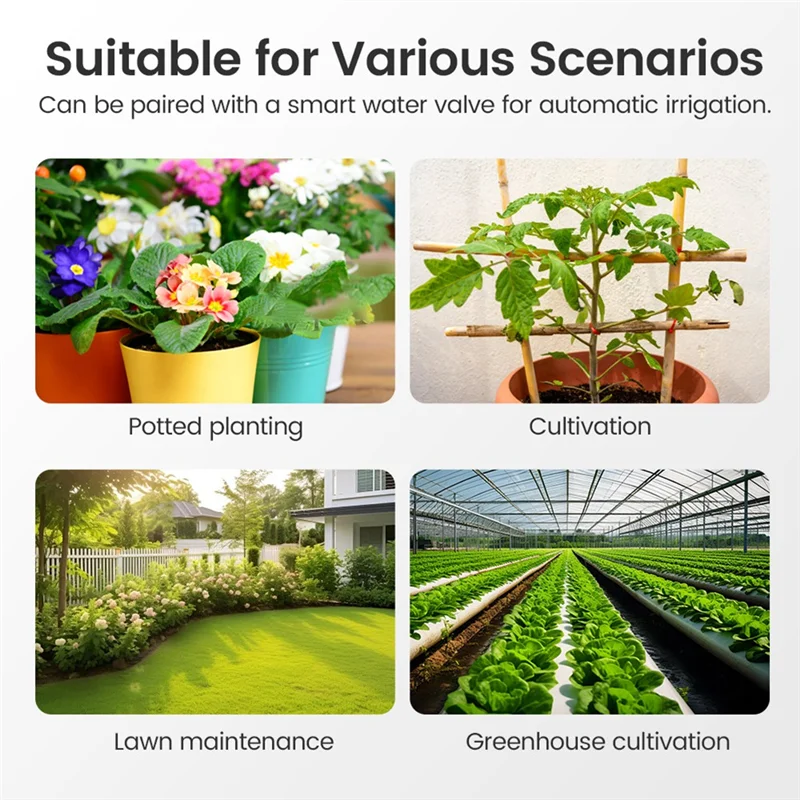 BNVN-Zigbee مستشعر رطوبة التربة الذكي 2 في 1 مقياس رطوبة بلوتوث ومتتبع درجة الحرارة لبستنة النباتات الداخلية