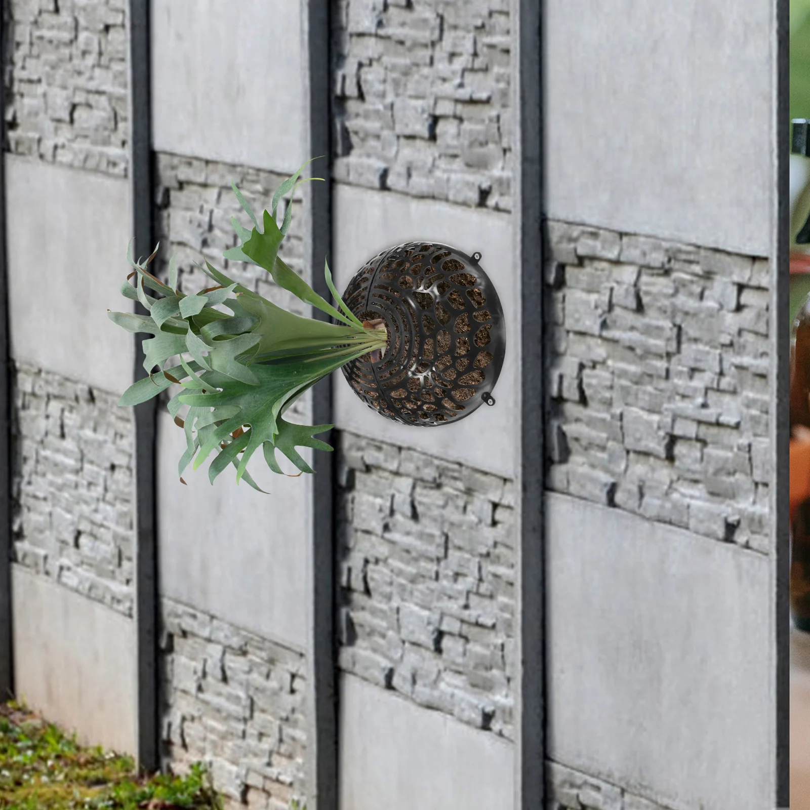 

Подвесной шар для растений, прозрачный пластиковый съемный чехол для почвы, дышащий вентиляционное отверстие для водных растений Phalaenopsis