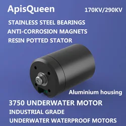 Motore Brushless impermeabile ApisQueen 3750 per robot subacquei e motori per barche senza pilota