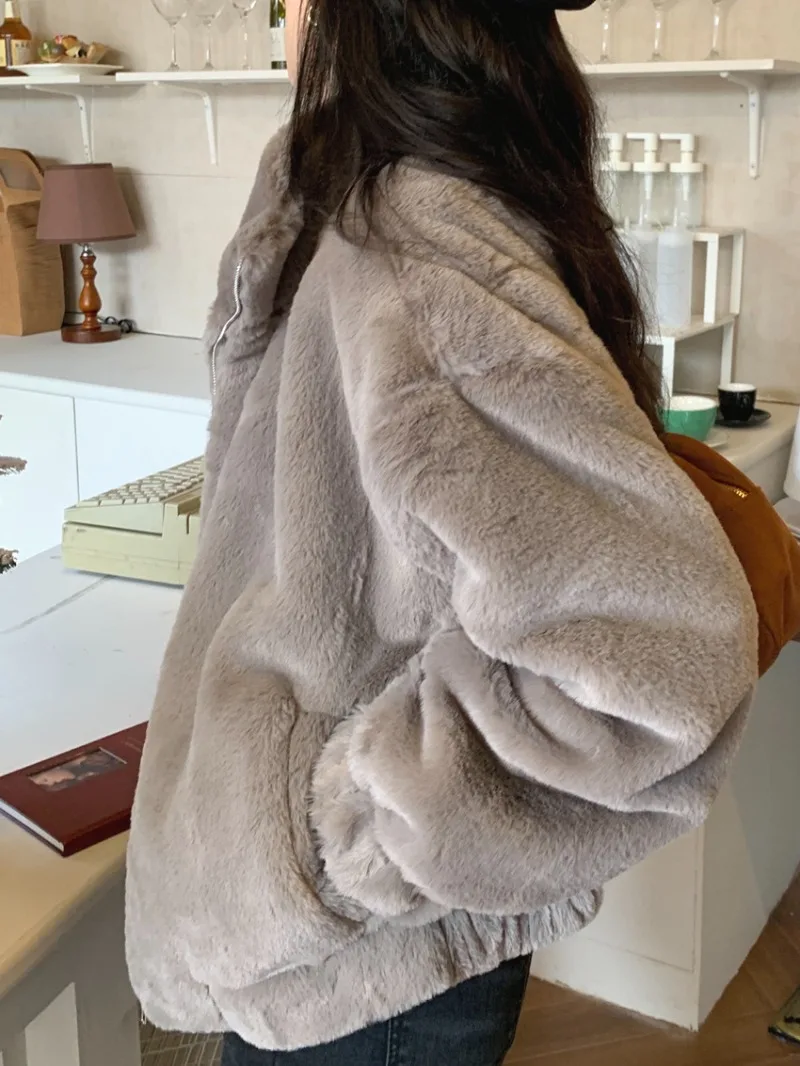 Women Winter Fleece Warm Coat Stand Collar Plush Thick Sweatshirts Female Korean Fashion Casual Long Sleeve Zipper Clothes Y2k