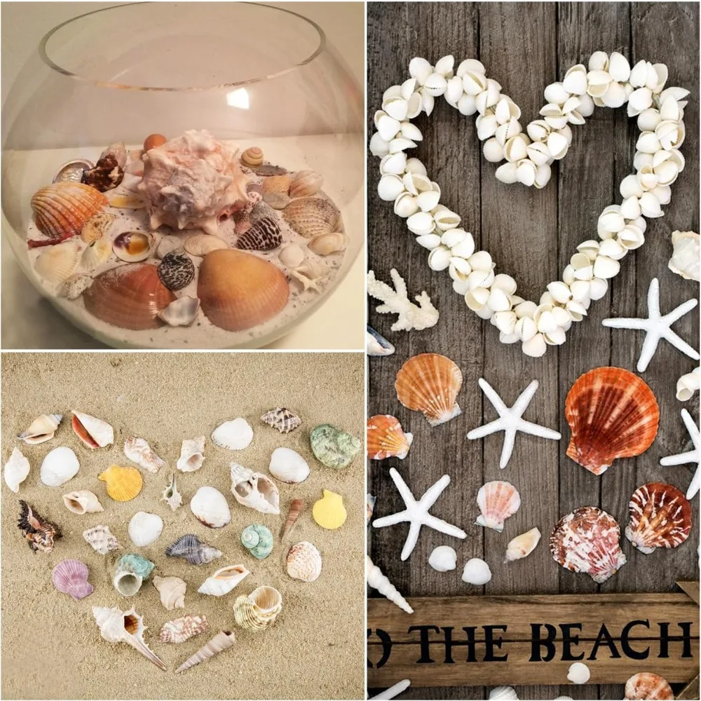 Sea Shells Mixed Ocean Seashells, 1.2-3.5 Various Sizes Beach Seashells and Natural Starfish for Vase Fillers Fish Tan
