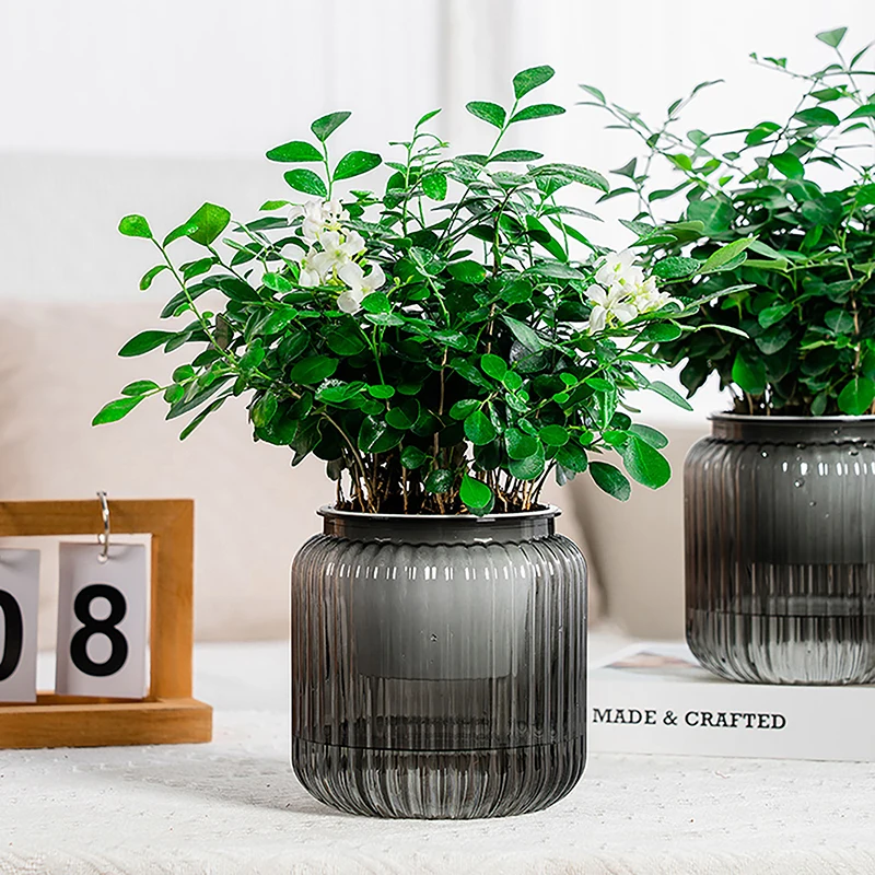 Imagem -03 - Vaso de Flores de Mesa Interior Mini Vasos de Plantador Auto Rega Plantas Hidropônicas Jardim em Casa Decoração de Bonsai Suculentas