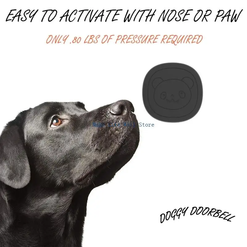 Fun Animal Engagement 55 Music Picks Straightforward Installation