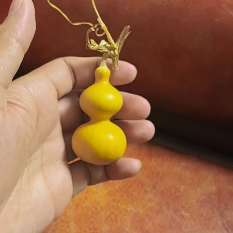 Boutique Acht Schätze Kürbis