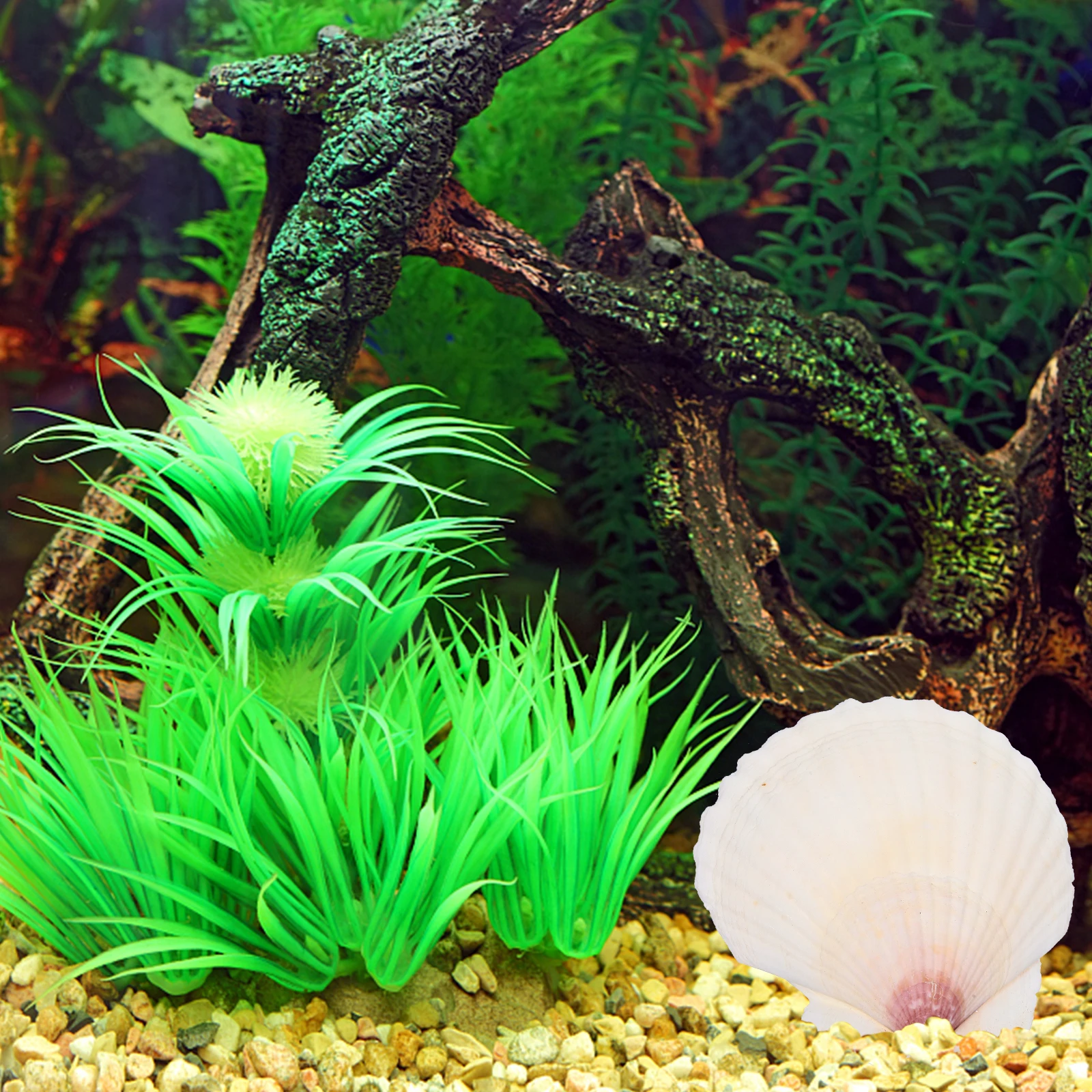

10pcs Shell Decor Set Natural Seashells Crafts Diy Accessories Fish Tank Landscaping Ornament Vase Filler Home Decor