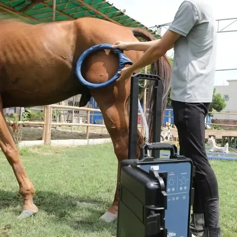 Máquina Hofmag de Hock And Loop de Terapia Masajeadora