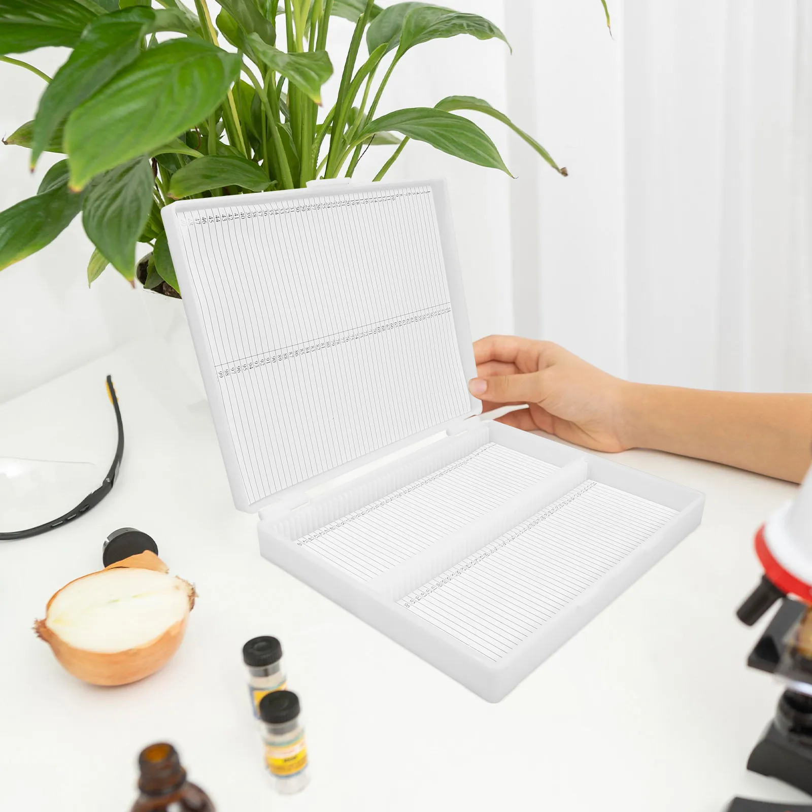 Halloween Christmas New Year Microscope Slide Holder Box Glass Slide Holder Box Microscope Slides Holder Glass Slides Holder