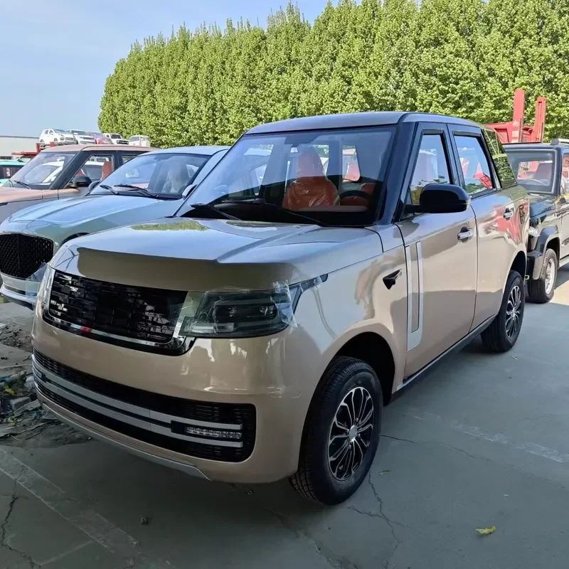 3500W Electric Four Wheeler Adult Family Car Lithium Battery Pure Electric Vehicle New Energy