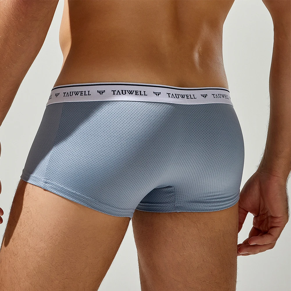 

All Seasons Breathable Underwear Men\\'s Mesh Boxer High Stretch Low Waist Nylon Fabric Solid Color Breathable Material