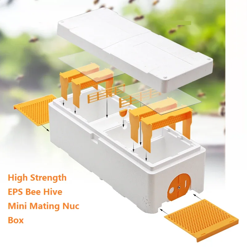 

Queen Bee Breeding Box Bee Mating Box High Strength EPS Bee Hive Mating Nuc Box Beekeeping Pollination Boxes Beekeeping Tools