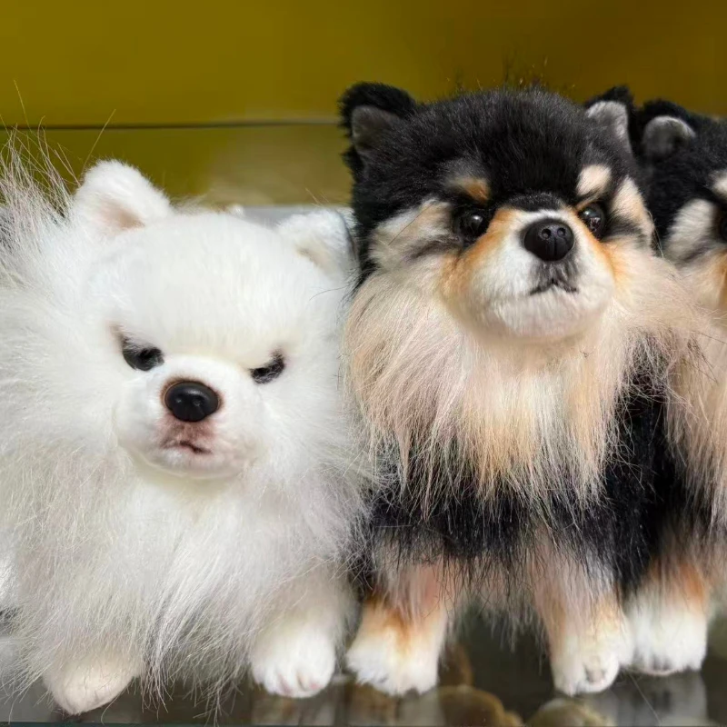 25cm Simulation RealLife Pets Chihuahua Plush Toys Stuffed Fluffy Animal Cute Puppy Baby Appsease Dog Doll for Kids Xmas Gifts