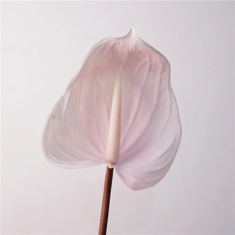 5Pc Artificial Feel Latex PVC Anthurium Flower Calla Lily for Wedding Background Flower Arrangement Home Party Event Decor Flore