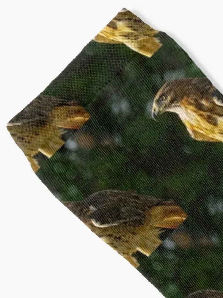 Red-Tailed Hawk Socks golf luxury Men Socks Women's