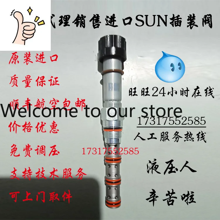 SUN Cartridge Directional Valve DNDAMNN Two-position Four-way Directional Valve DNDA-MNN SF Airlines Free Shipping