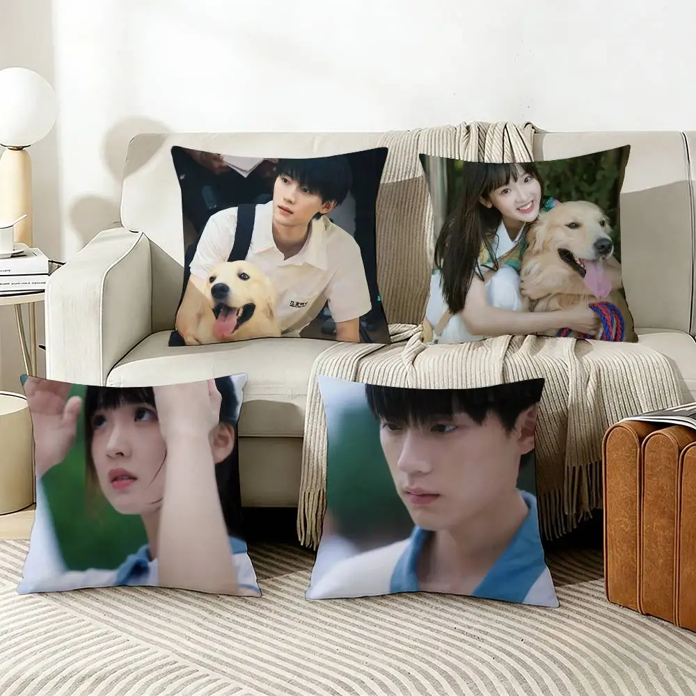 

when i fly towards you Zhang Lurang Su Zaizai Pillow Case Living Room Sofa Cushion Cover Suitable For Home Room Decoration