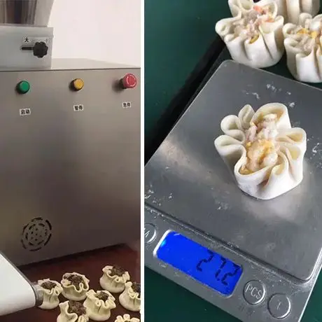 آلة صنع شاوماي لسطح المكتب من الفولاذ المقاوم للصدأ آلة معالجة Siomai بالبخار #1