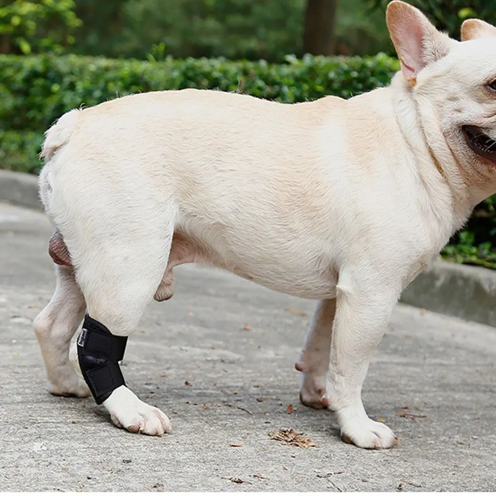 for Small,Middle,Large Dog Protective Case Joint Recovery Bandage Dog Leg Brace Dog Leg Wrap Pet Knee Pads Dog Support Brace