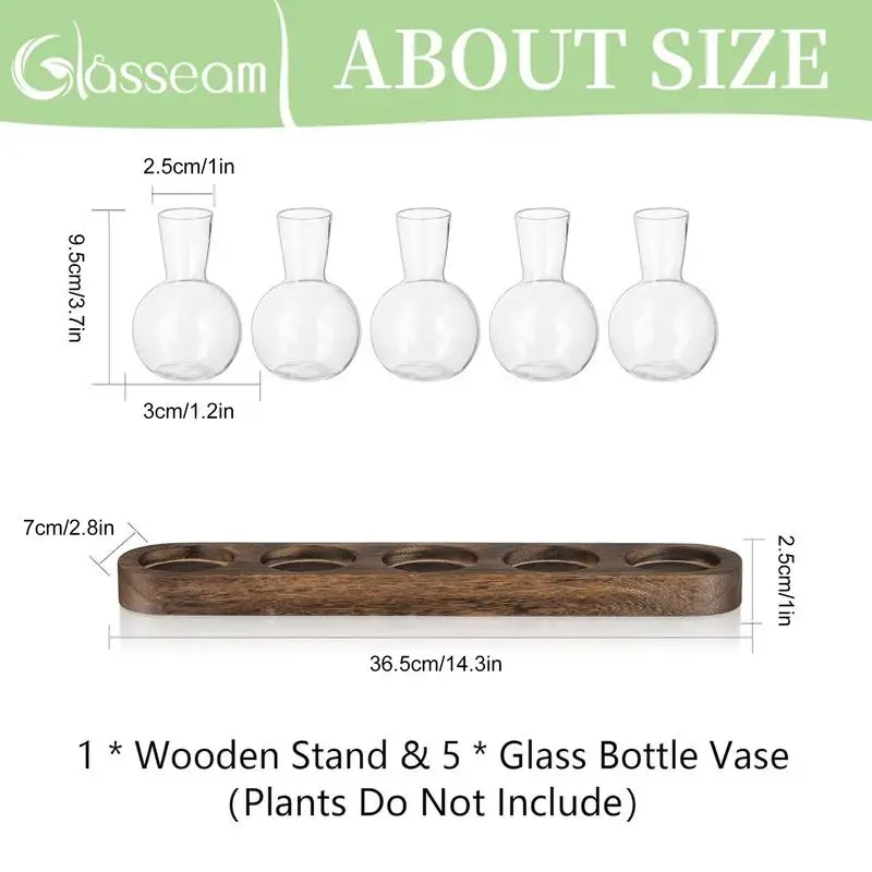 Plant Propagation Station With Wooden Stand Hydroponic Vintage Plant Terrarium Planter Water Planting Stations Home Decoration